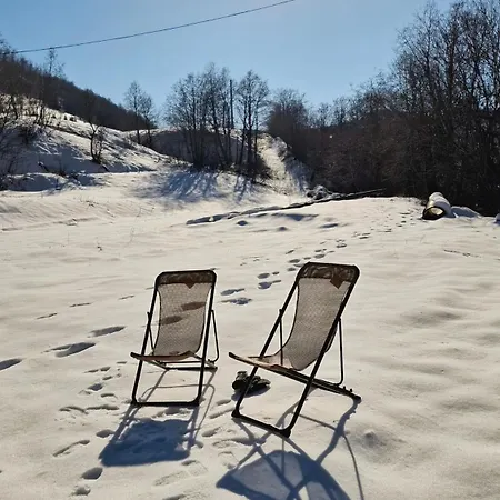 Verusa * Podgorica